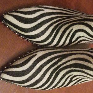 Gianni Bini Zebra print western booties with studs, size 5.5